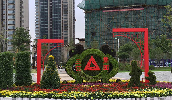 五色草栽培技术