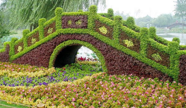 园艺栽培：夏季做好苗木的养护工作