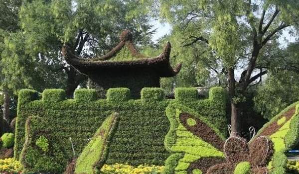 五色草立体花坛的制作与养护方法
